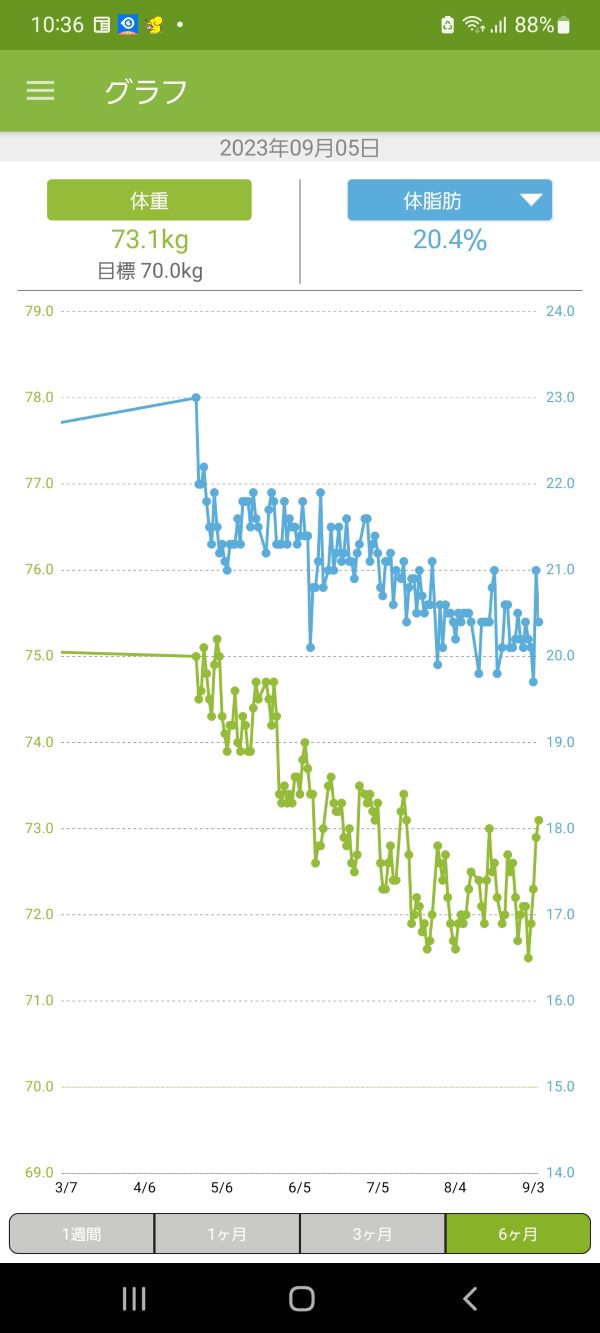 ダイエットの結果